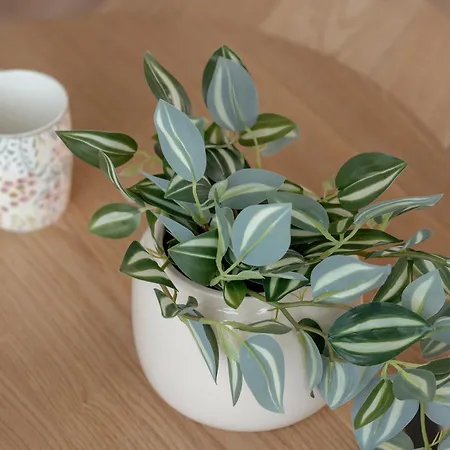 Riverside With Water View By Renters Lejlighed