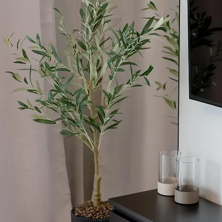 Riverside With Water View By Renters *