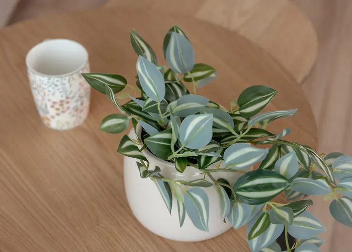 Riverside With Water View By Renters Apartamento